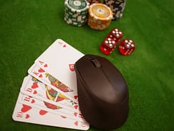 computer mouse
