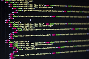 Expired Domain Reasons