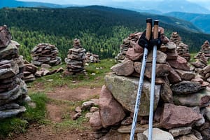 hiking sticks